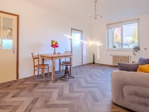 Pronájem rodinného domu, Poděbrady, Hraniční, 110 m2