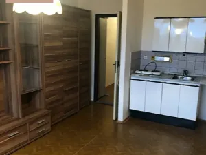 Prodej bytu 1+kk, Ostrava, Gen. Píky, 29 m2