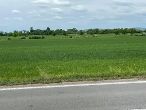 Prodej pole, Brno, 11752 m2