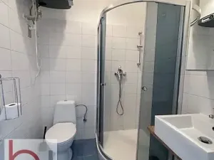 Pronájem bytu 1+1, České Budějovice, Matice školské, 38 m2