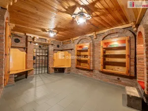 Pronájem obchodního prostoru, Mladá Boleslav, Viničná, 107 m2