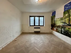 Pronájem bytu 1+1, Brno, Veslařská, 45 m2