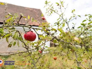 Prodej rodinného domu, Chlum, 823 m2