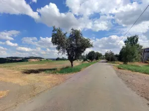 Prodej zahrady, Červený Újezd - Nové Dvory, 8872 m2