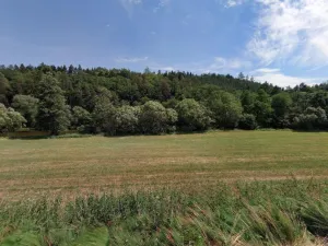 Prodej zahrady, Čeřenice, 3578 m2