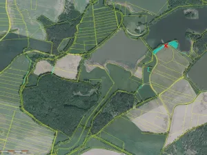 Prodej pole, Čejetice - Mladějovice, 1760 m2