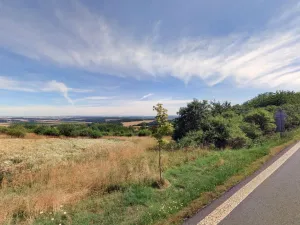 Prodej louky, Petrovice, 20542 m2