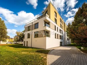 Pronájem bytu 2+kk, České Budějovice, Hálkova, 37 m2