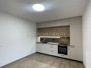 Pronájem bytu 2+kk, České Budějovice, Hálkova, 37 m2