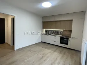 Pronájem bytu 2+kk, České Budějovice, Hálkova, 37 m2