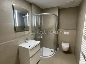 Pronájem bytu 2+kk, České Budějovice, Hálkova, 40 m2
