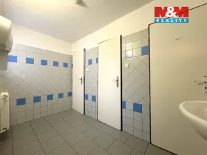 Prodej restaurace, Velké Žernoseky, 438 m2