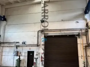 Prodej obchodního prostoru, Havířov - Prostřední Suchá, Nový Svět, 20500 m2