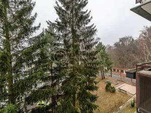 Pronájem bytu 2+1, Liberec - Liberec V-Kristiánov, Dvorská, 47 m2