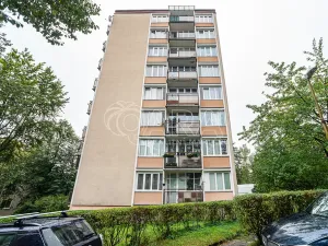 Pronájem bytu 2+1, Liberec - Liberec V-Kristiánov, Dvorská, 47 m2