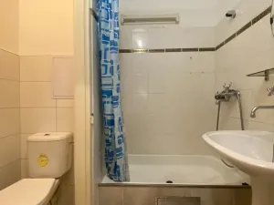 Pronájem bytu 1+kk, Brno - Královo Pole, Herčíkova, 30 m2