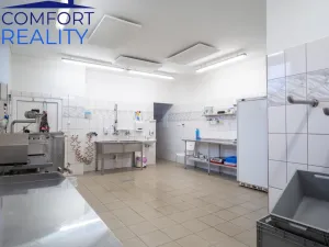 Prodej výrobních prostor, Suchdol nad Odrou - Kletné, 220 m2