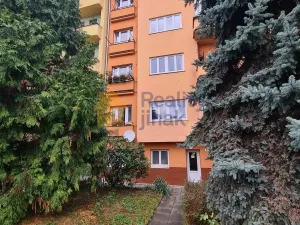Pronájem bytu 1+1, Brno - Staré Brno, Vodní, 24 m2