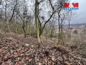 Prodej pozemku pro bydlení, Bílina, 1101 m2