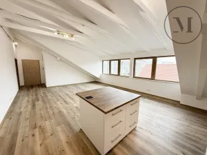 Prodej bytu 3+kk, České Budějovice, K. Weise, 124 m2