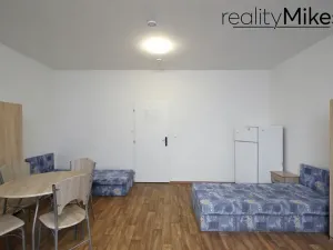 Prodej ubytování, Dobrovice, 500 m2