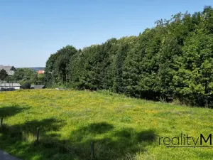 Prodej louky, Křižany, 2663 m2