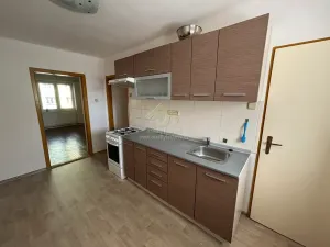 Prodej vícegeneračního domu, Rokycany, Družstevní, 607 m2