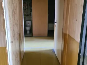 Dražba bytu 3+1, Brno, Osová, 60 m2