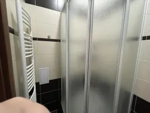 Pronájem bytu 1+1, Ústí nad Labem - Ústí nad Labem-centrum, Thomayerova, 38 m2