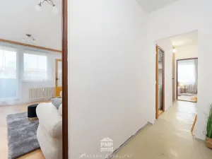 Prodej bytu 3+1, Velké Opatovice, Hliníky, 66 m2