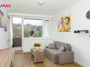 Prodej bytu 2+kk, Všemina, 45 m2