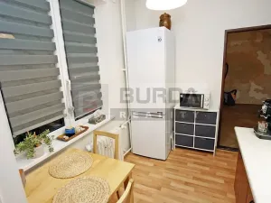 Pronájem bytu 2+1, Mělník, Oldřicha Wenzla, 55 m2