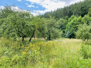 Prodej pozemku pro bydlení, Oskava, 4532 m2