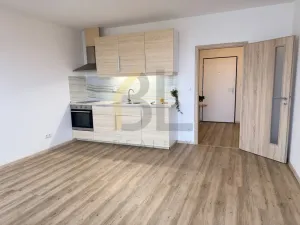 Pronájem bytu 1+kk, Rohatec, Moravní, 28 m2