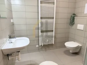 Pronájem bytu 1+kk, Rohatec, Moravní, 28 m2