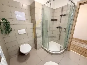 Pronájem bytu 1+kk, Rohatec, Moravní, 28 m2