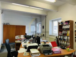 Pronájem obchodního prostoru, Bučovice, Legionářská, 539 m2