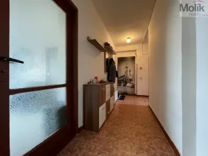 Pronájem bytu 2+1, Meziboří, Hornická, 65 m2