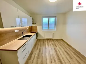 Pronájem bytu 1+1, Vémyslice, 44 m2