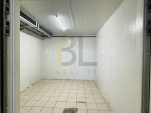 Pronájem skladu, Hodonín, Na Výhoně, 90 m2