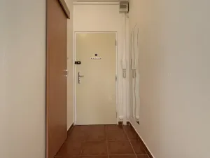 Pronájem bytu 1+1, Ústí nad Labem - Střekov, Tolstého, 37 m2