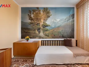 Prodej bytu 3+1, Litvínov - Horní Litvínov, Tylova, 69 m2