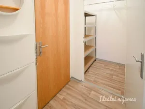 Pronájem bytu 1+kk, Brno - Řečkovice, Žitná, 29 m2