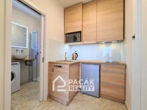 Pronájem bytu 1+1, Olomouc - Hodolany, Masarykova třída, 30 m2