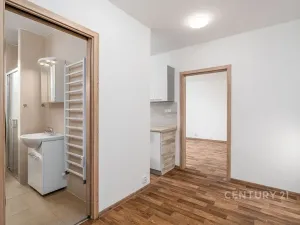 Prodej bytu 1+1, Děčín, Růžová, 35 m2