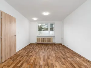 Prodej bytu 1+1, Děčín, Růžová, 35 m2