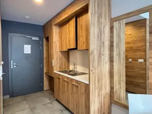 Prodej apartmánu, Dolní Morava, 28 m2