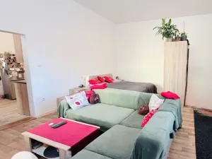 Pronájem bytu 1+1, Opava, Pekařská, 50 m2