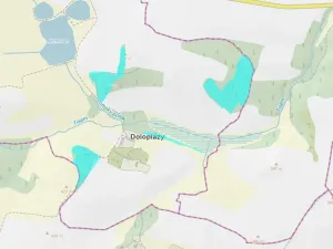 Prodej podílu lesa, Neveklov, 7656 m2