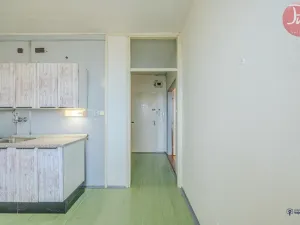 Prodej bytu 1+kk, Ostrava, Ahepjukova, 35 m2